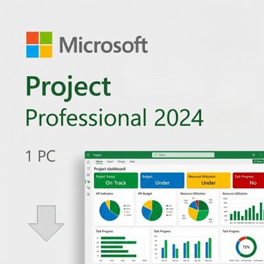 Project Professional 2024