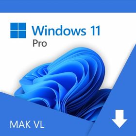 Windows 11 Pro VL