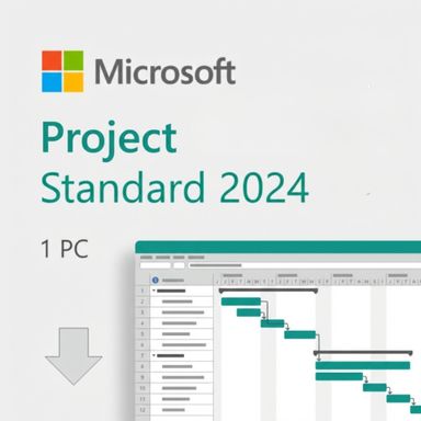 Project Standard 2024
